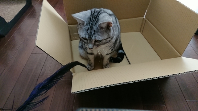 20180121135527589.jpg