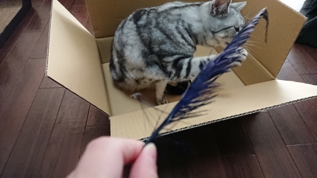 20180121135555027.jpg