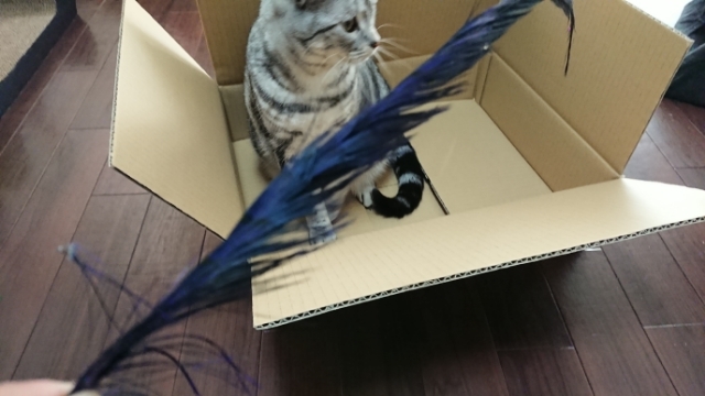 20180121135615021.jpg