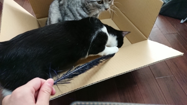 20180121135913842.jpg