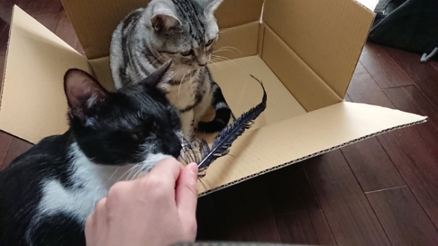 20180121140005431.jpg