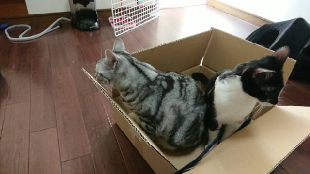 20180121140058387.jpg