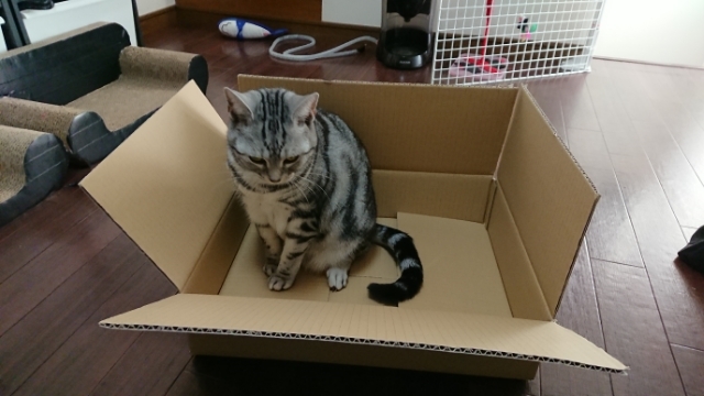 20180121140255428.jpg