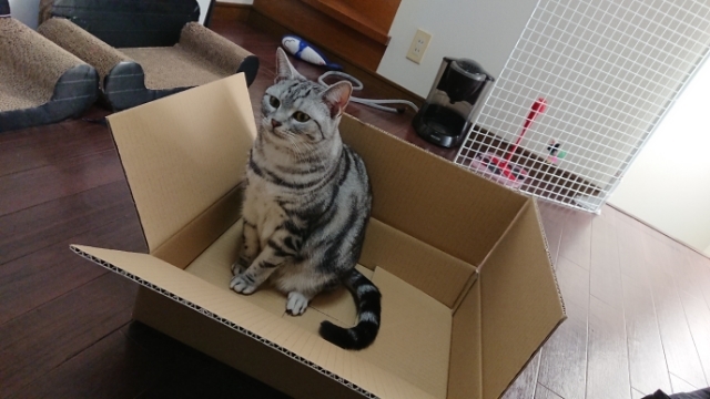 20180121140316587.jpg