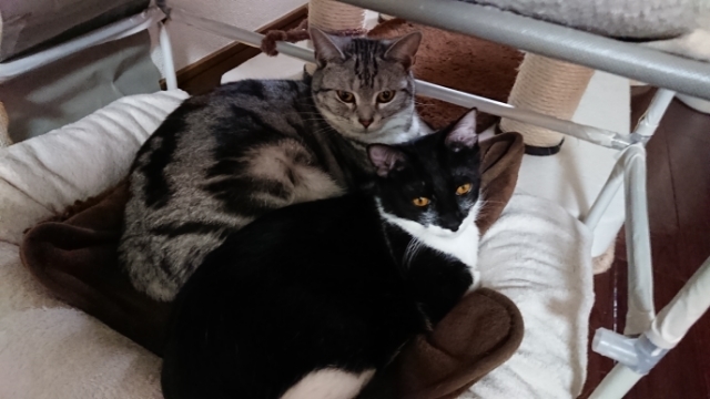 20180121153503526.jpg