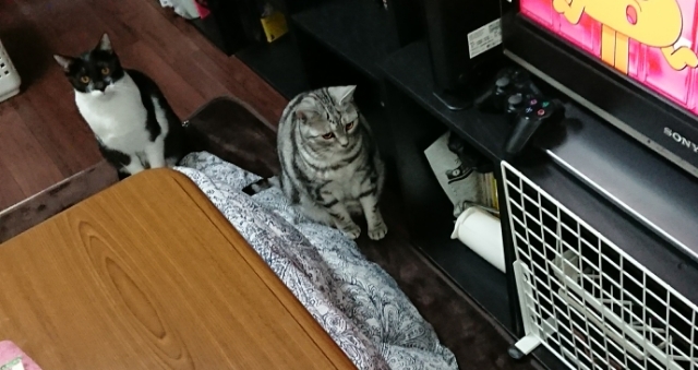 20180121175759649.jpg