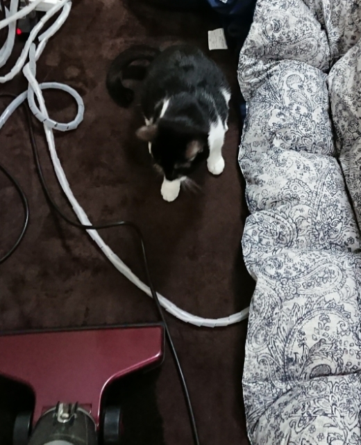 20180121180040441.jpg