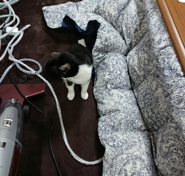 20180121180100912.jpg