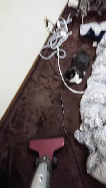20180121180147758.jpg