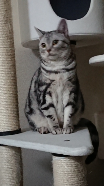 20180122101002563.jpg