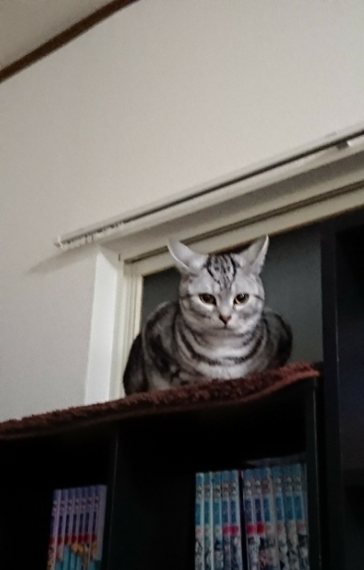 20180122101020300.jpg