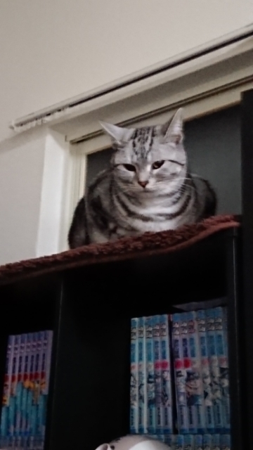 20180122101027634.jpg