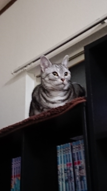 20180122101055772.jpg