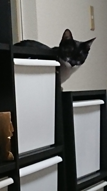 20180122102021023.jpg