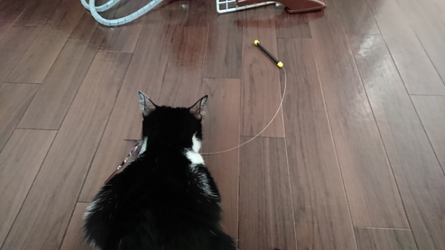 20180123120217096.jpg