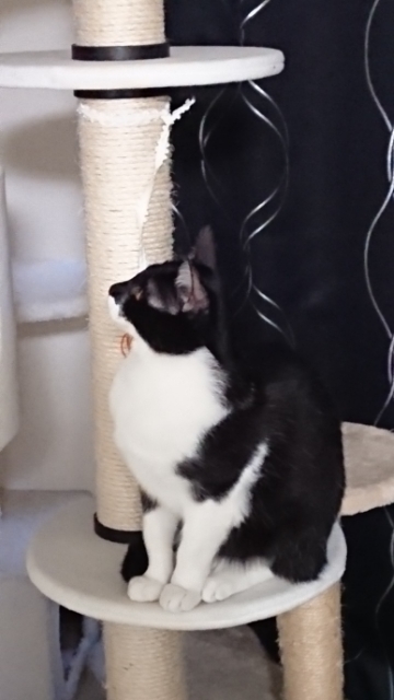20180126070444518.jpg