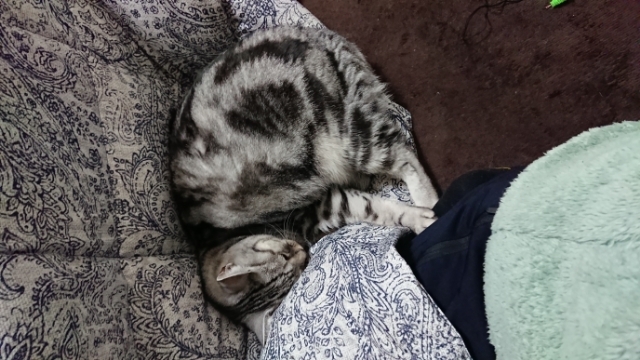 20180126071505919.jpg