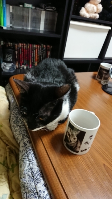 20180126072406821.jpg