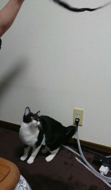 20180127123643530.jpg