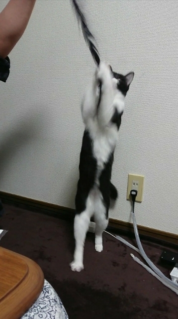 20180127123659701.jpg