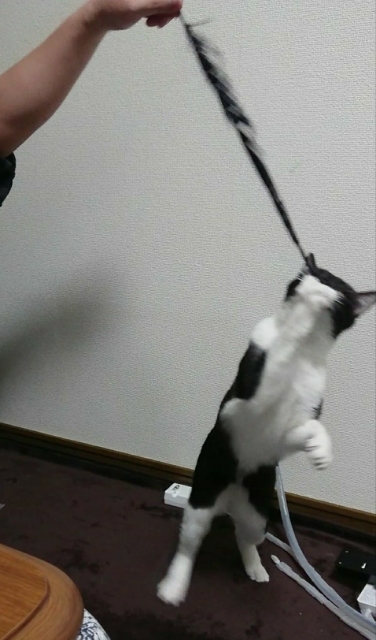 20180127123709975.jpg