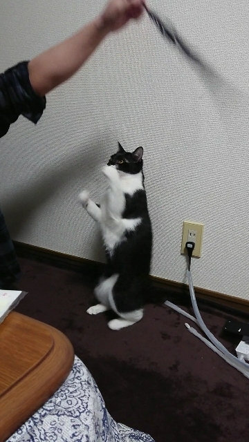 20180127124015042.jpg