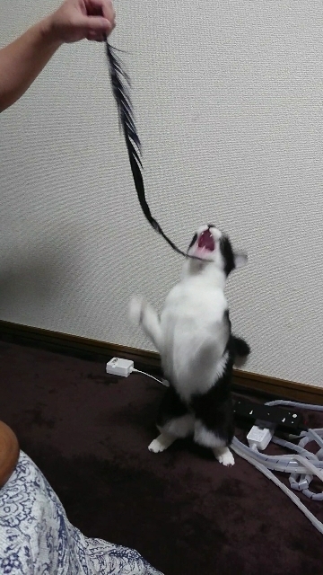 20180127124146545.jpg