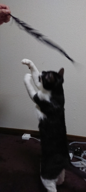 20180127125943329.jpg