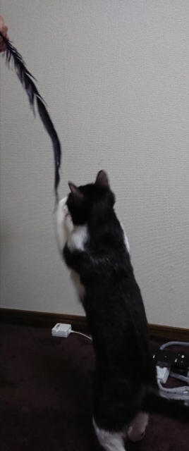 20180127125956152.jpg