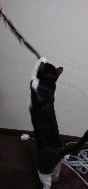 20180127130056661.jpg