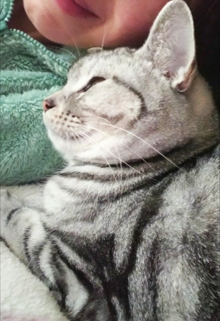 20180127145241594.jpg
