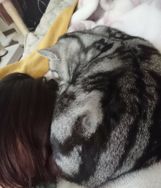 20180127150047276.jpg