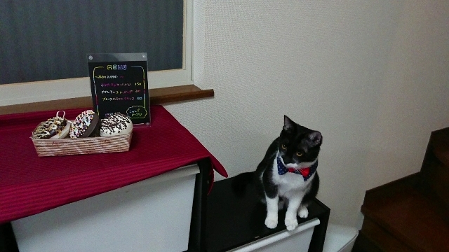 20180220230403741.jpg