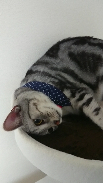 20180220233212553.jpg