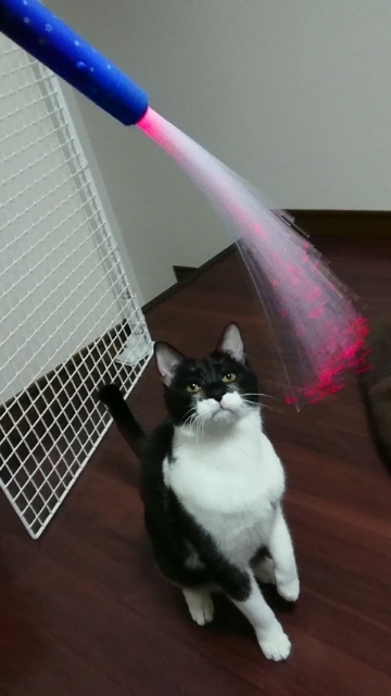 20180222090432253.jpg