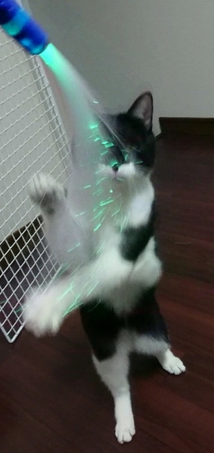 20180222090454843.jpg