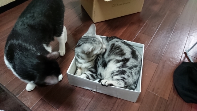 20180320093316050.jpg