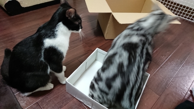 20180320093359077.jpg