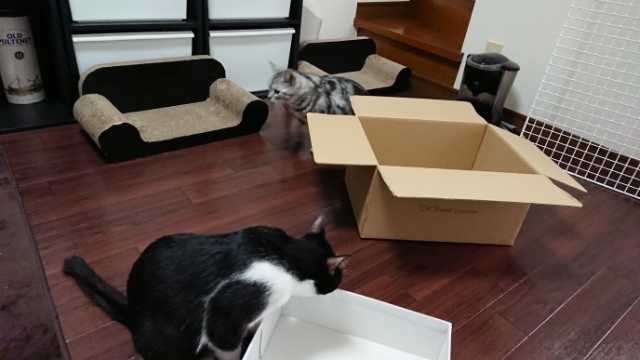 20180320093411407.jpg