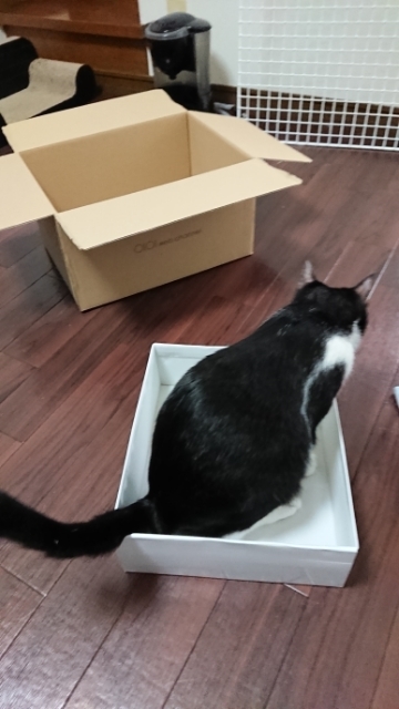 20180320093426074.jpg