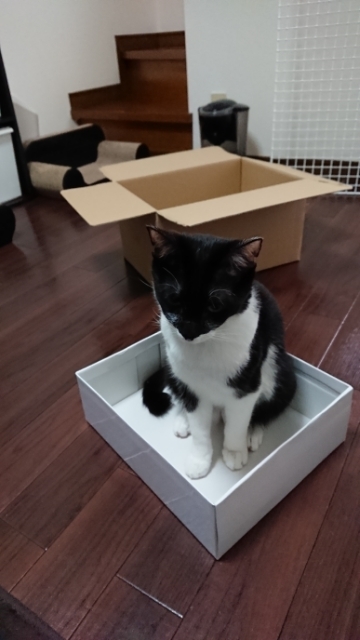 20180320093432355.jpg