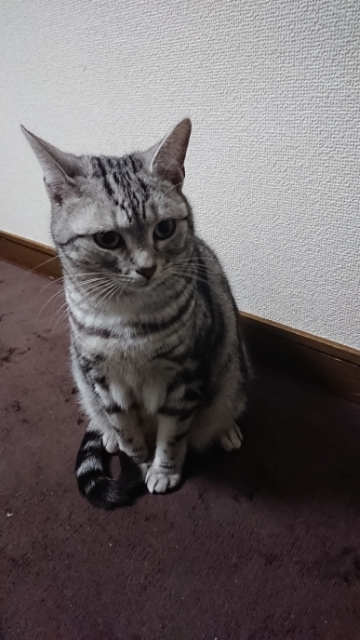 20180321211606209.jpg