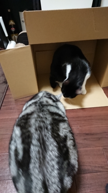20180321214212033.jpg