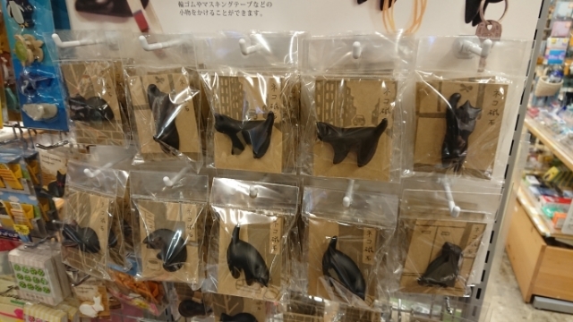 20180323192842475.jpg