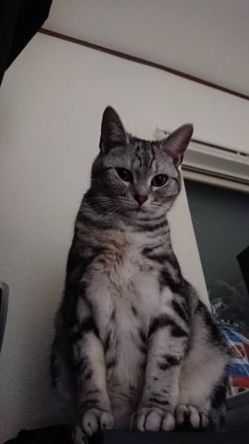 20180328070641496.jpg
