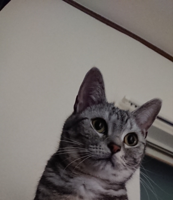 20180328114548428.jpg