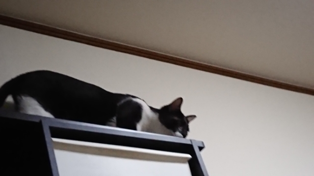 20180330134222615.jpg