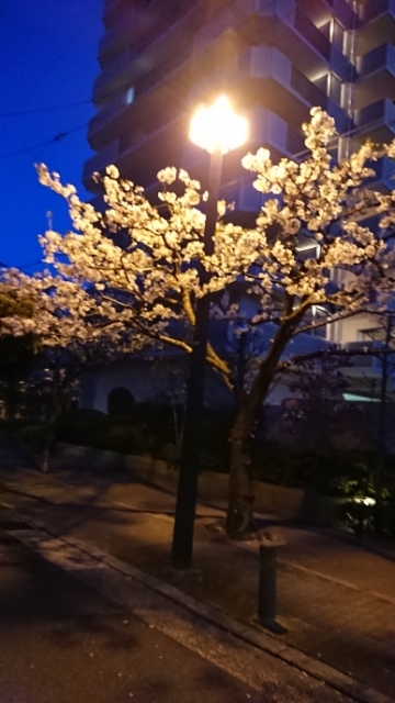 20180330200043108.jpg