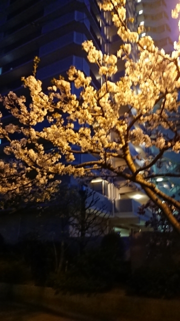 20180330200053630.jpg