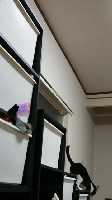 20180330221702387.jpg